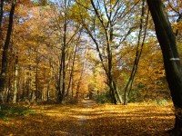 /album/matiasovce/a022-jpg/