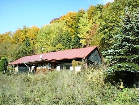 originálna drevenica 